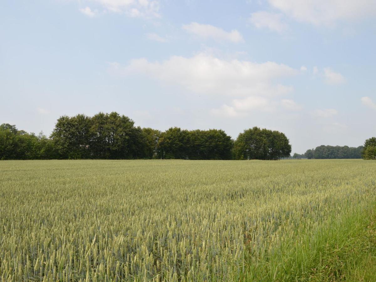 Staying In A Thatched Barn With Box Bed Beautiful View Region Achterhoek Geesteren  エクステリア 写真